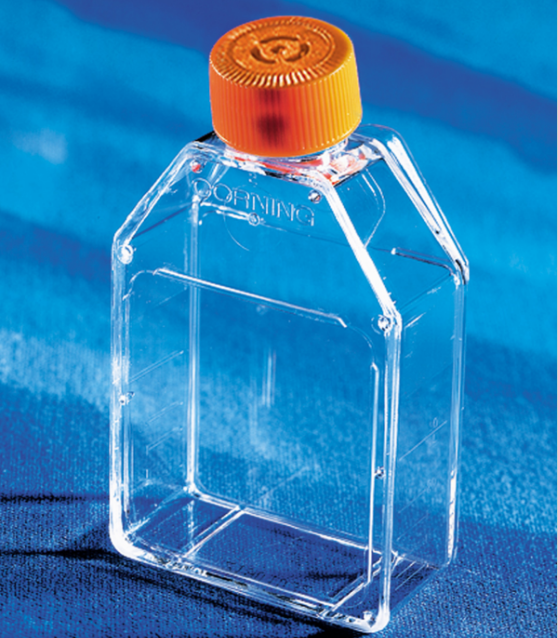 康宁25cm细胞培养瓶,带透气帽