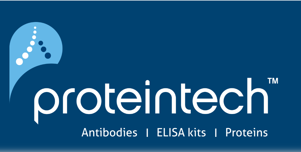 fus/tls polyclonal antibody抗体