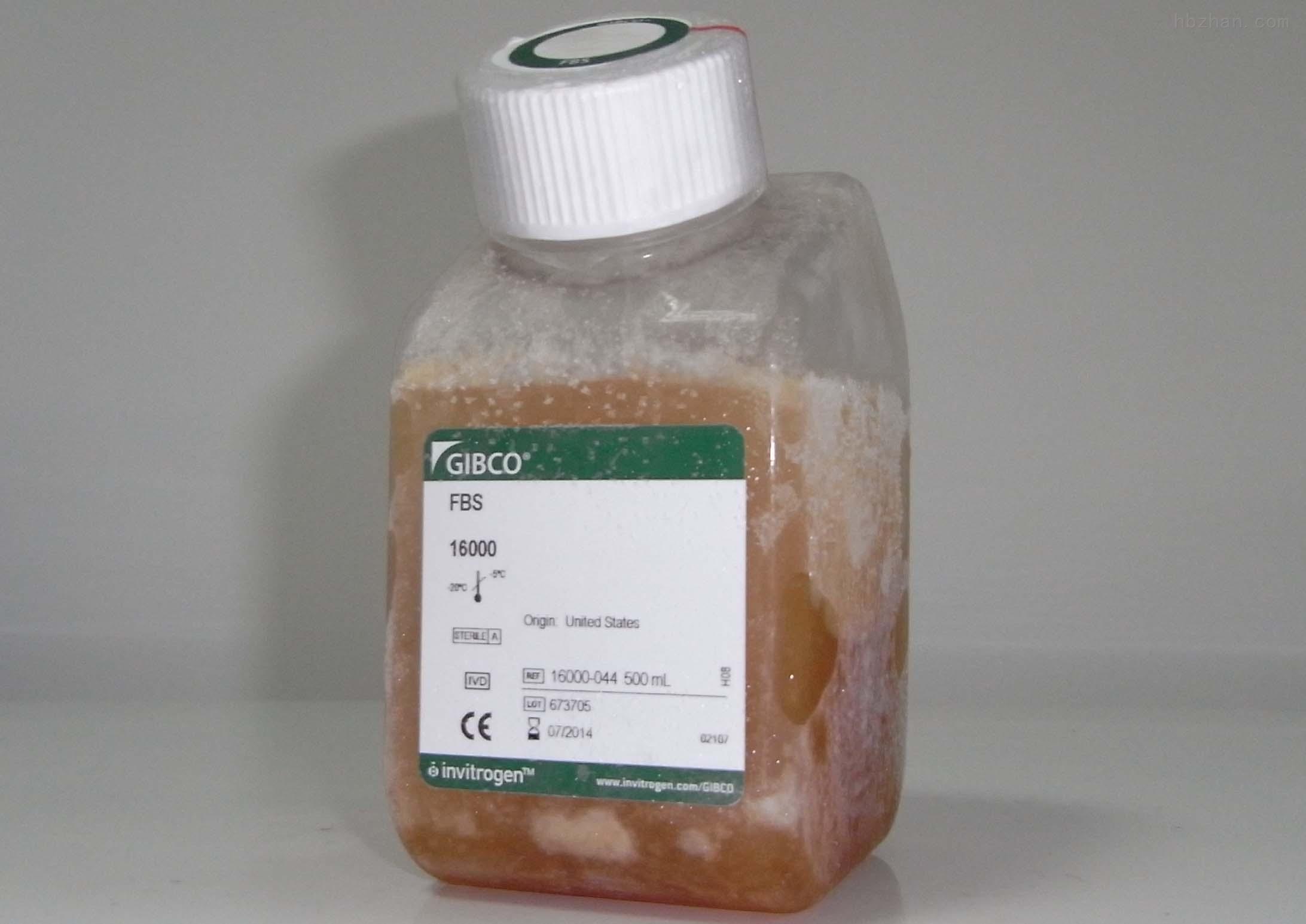 gibco胎牛血清