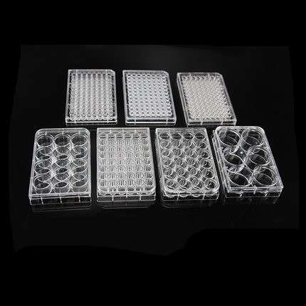 细胞培养板 48孔 1个装 货号tcp010048 洁特