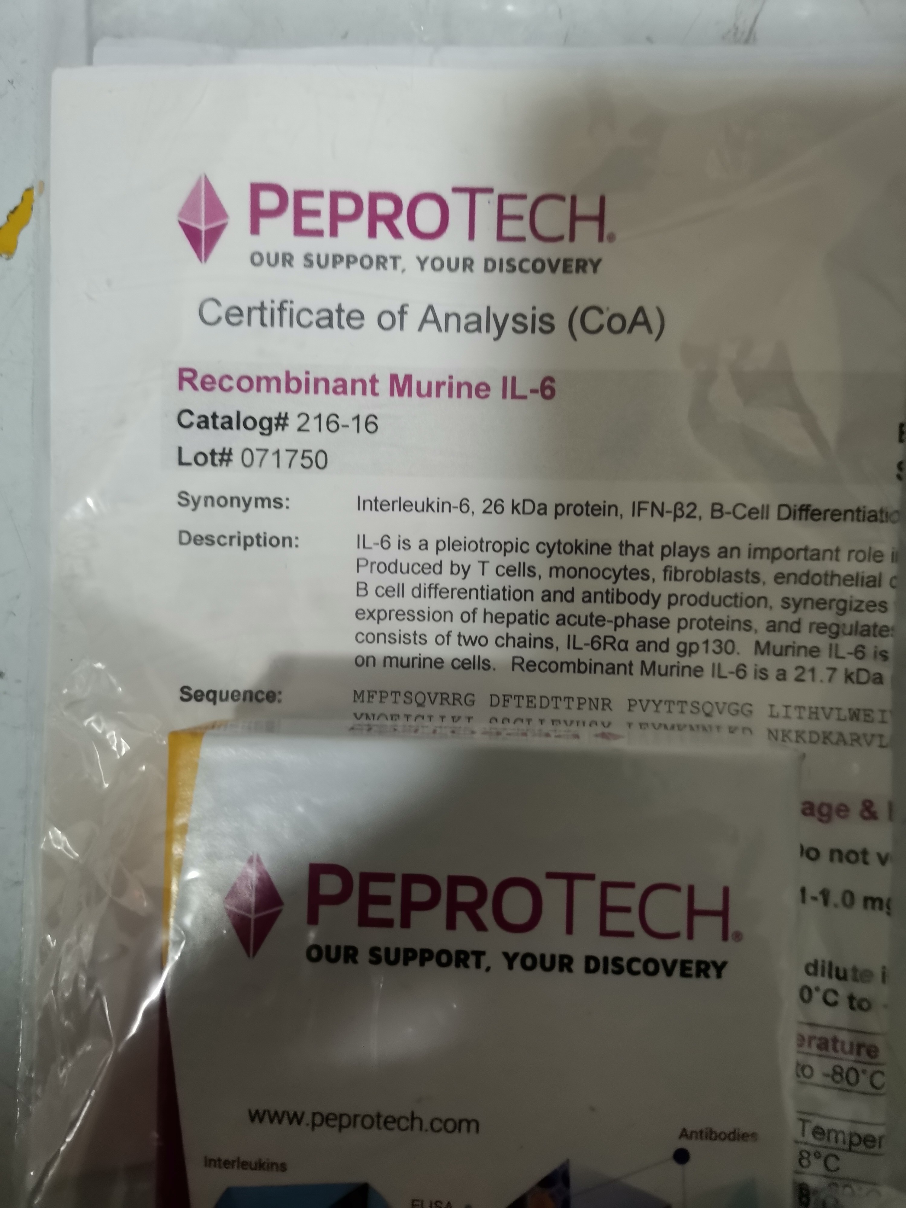 recombinant murine il-6