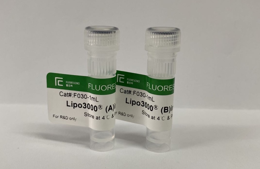lipo300003转染试剂