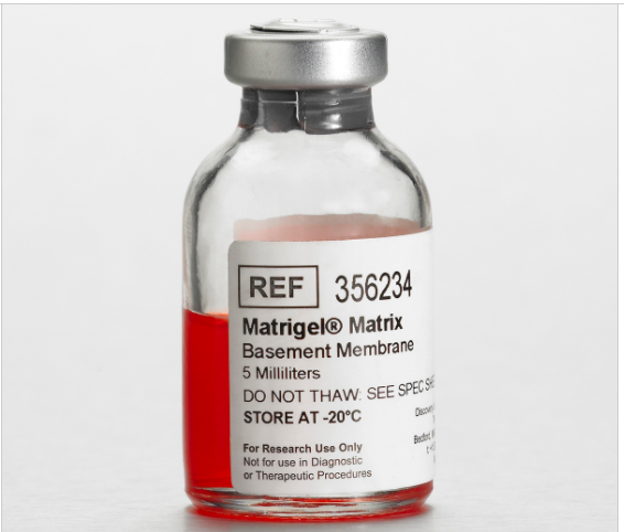 matrogel matrix 基质胶