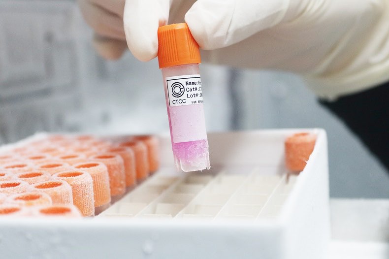 细胞原代细胞提供免疫荧光鉴定报告活细胞包邮/冻存100-400元干冰费1