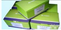Endo-free Plasmid Maxi Kit(25)