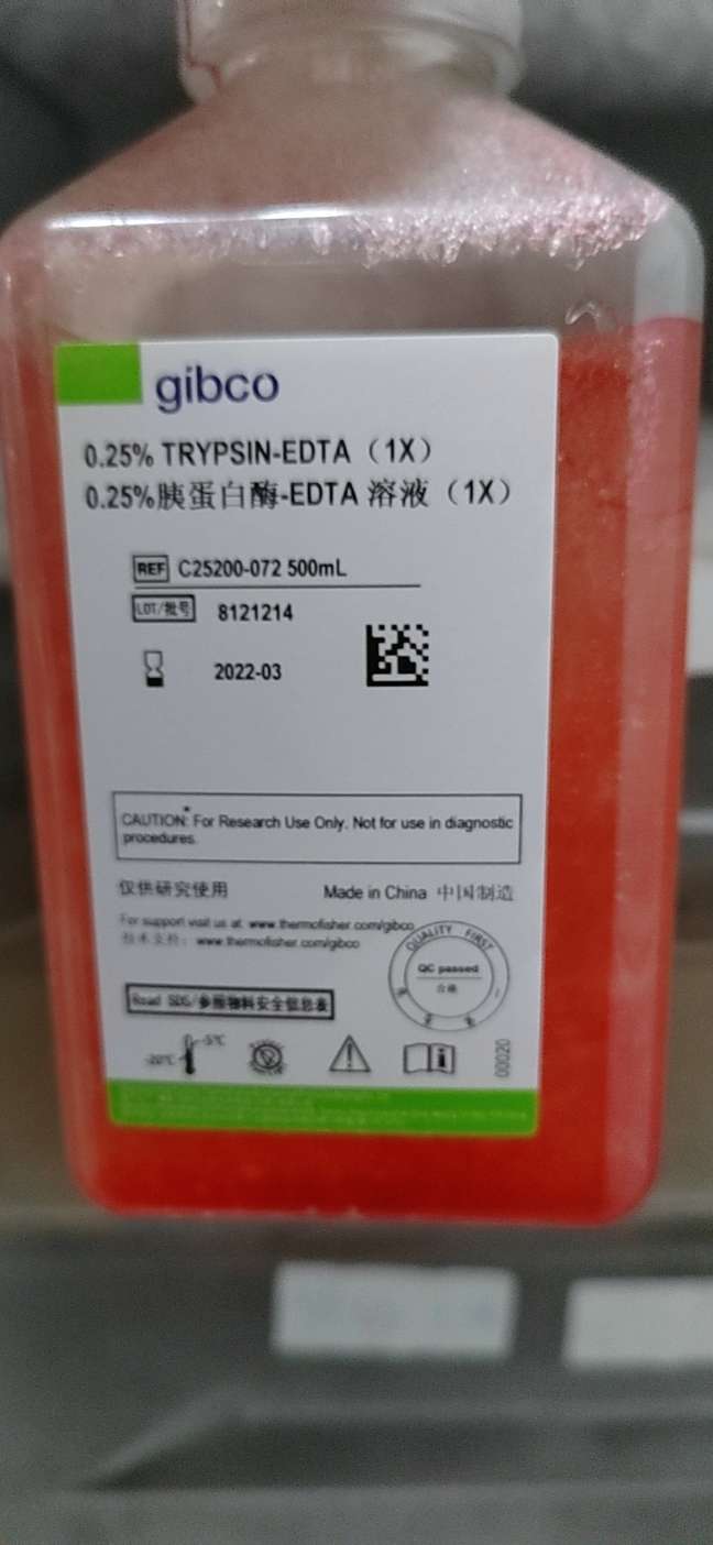 胰酶TRYPSIN 0.25% EDTA500ML