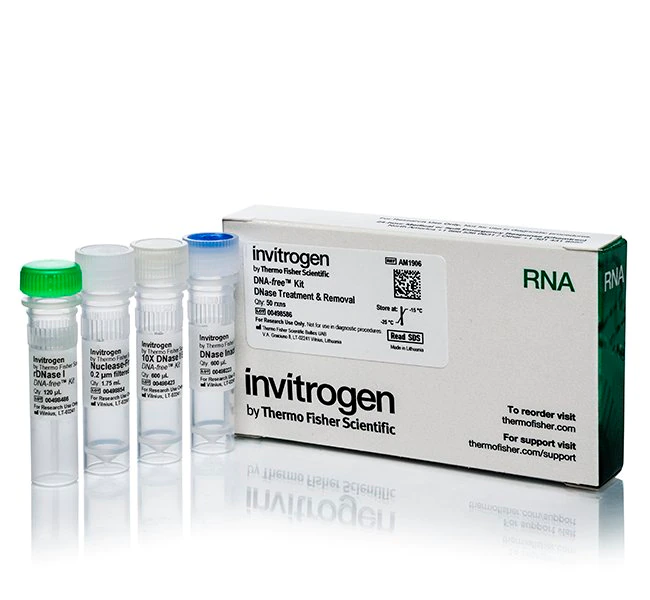 DNA-<i>free</i> DNA 去除试剂盒