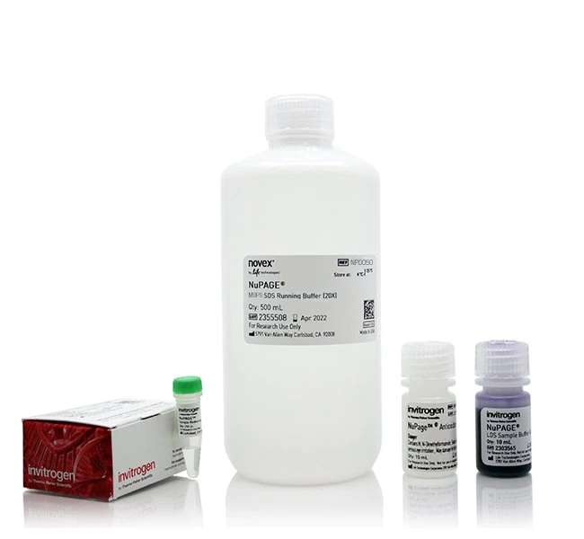 NuPAGE MOPS SDS 缓冲液试剂盒（用于 Bis-Tris 凝胶）