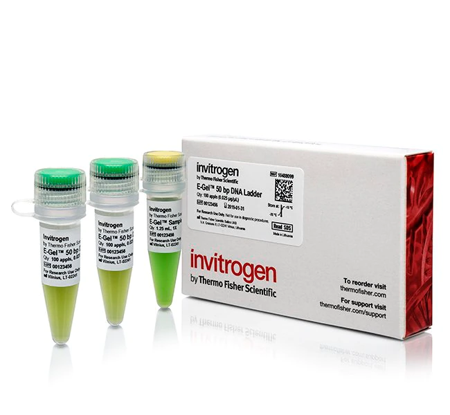 E-Gel 50 bp DNA 分子量标准