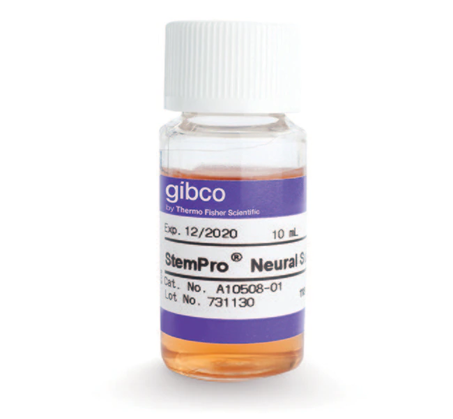 StemPro 神经添加剂