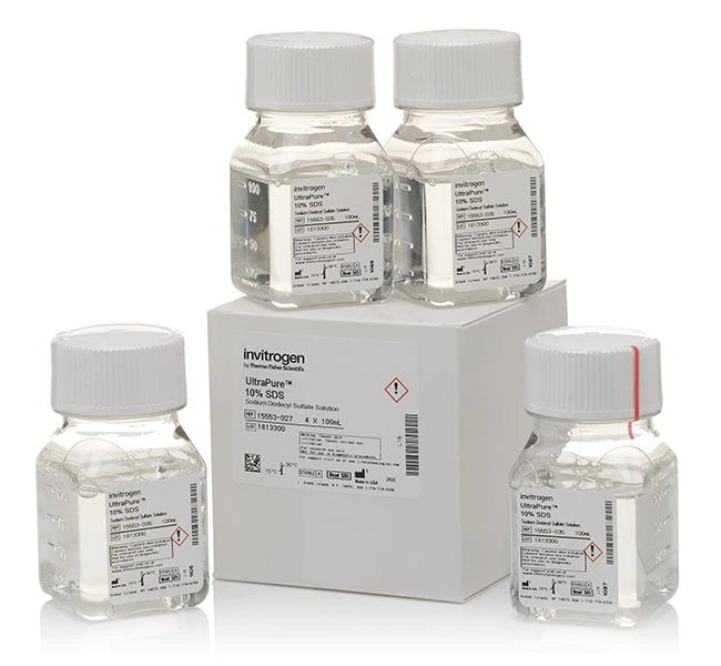 UltraPure SDS 溶液，10%