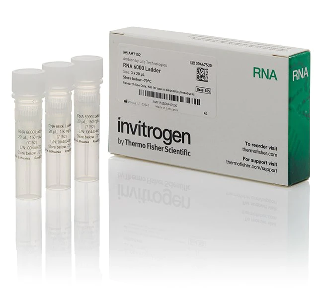 RNA 6000 分子量标准
