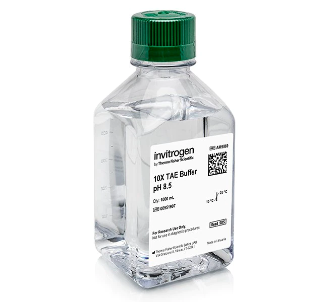 TAE (10 X），不含 RNase