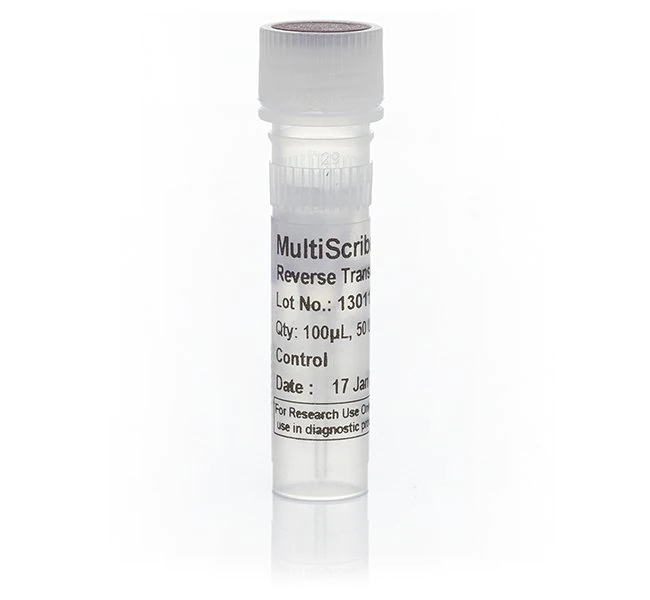 MultiScribe 逆转录酶