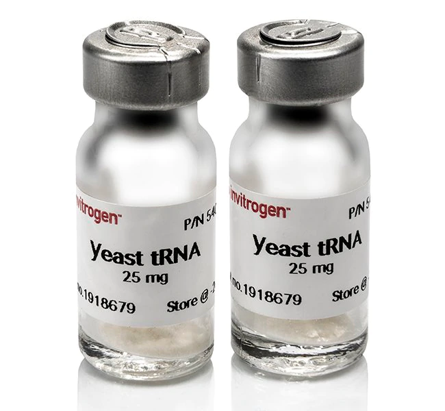 酵母菌 tRNA