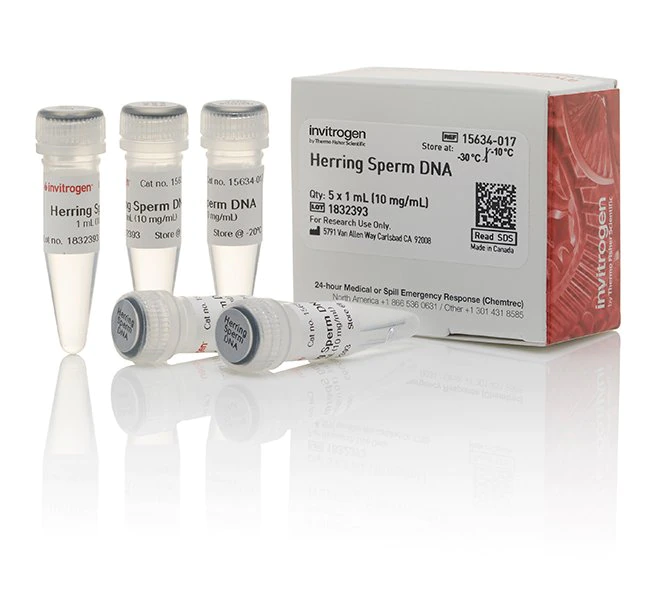 UltraPure 鲱鱼精子 DNA 溶液