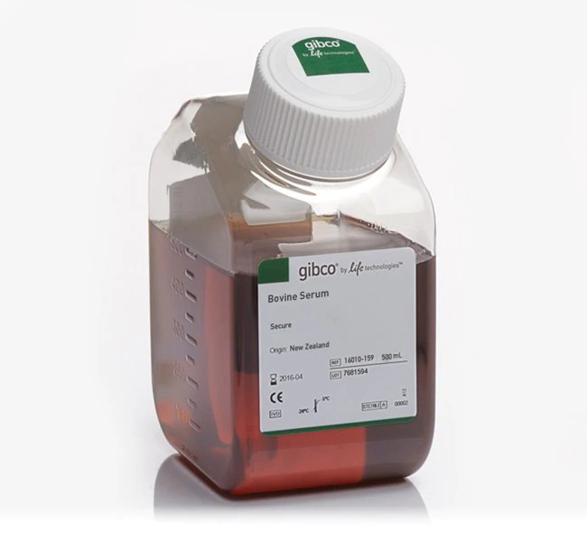 牛血清，新西兰来源，500ml