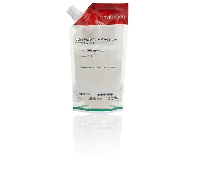 UltraPure 低熔点琼脂糖, 100 g