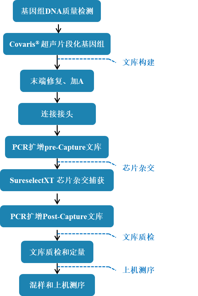 喀斯玛商城-B2B第三方科研电商