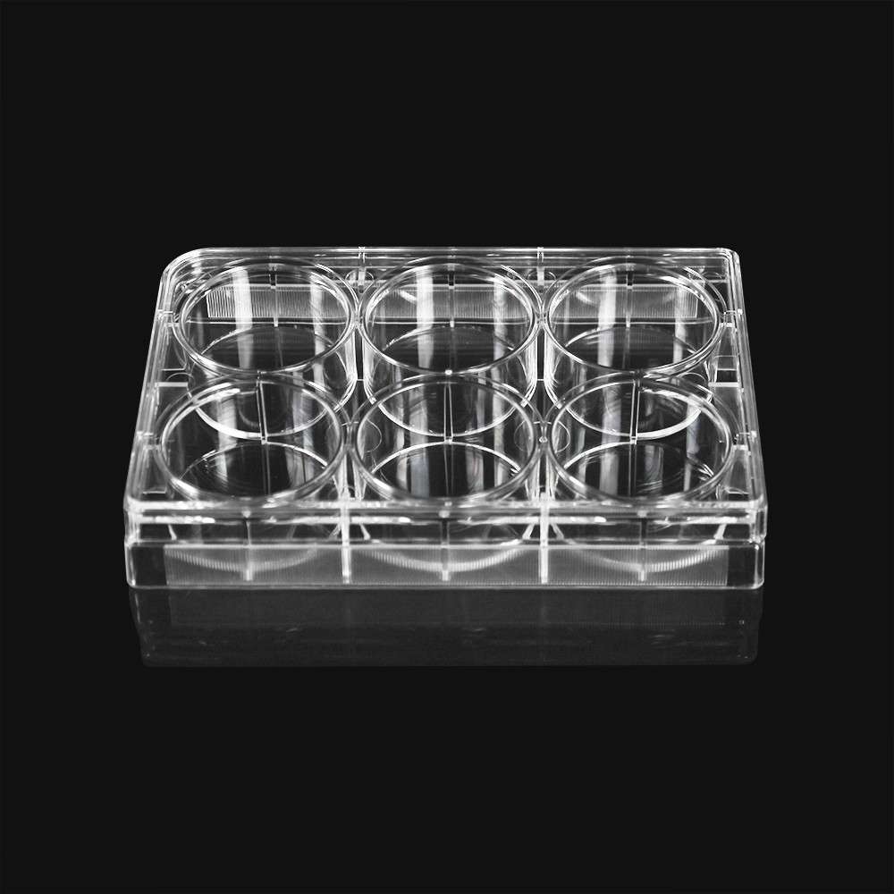 广州优邦生物科技有限公司