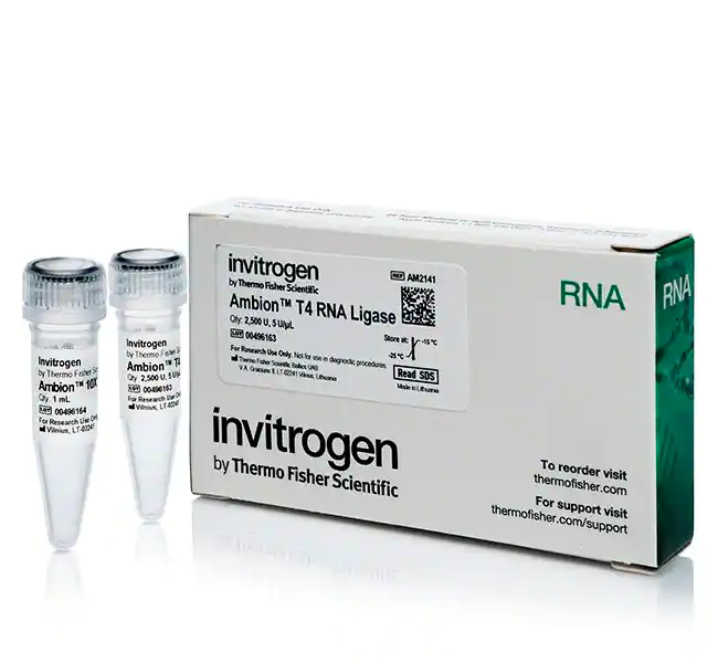 Ambion T4 RNA 连接酶，克隆型，5 U/&micro;L