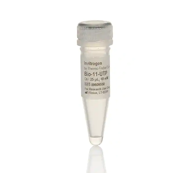 Bio-11-UTP (10 mM)