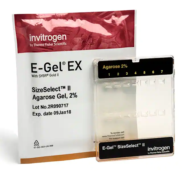 E-Gel SizeSelect II 琼脂糖凝胶，2%