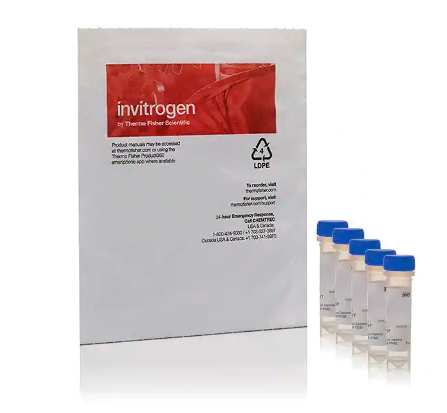 CellROX Deep Red 试剂，用于氧化应激检测