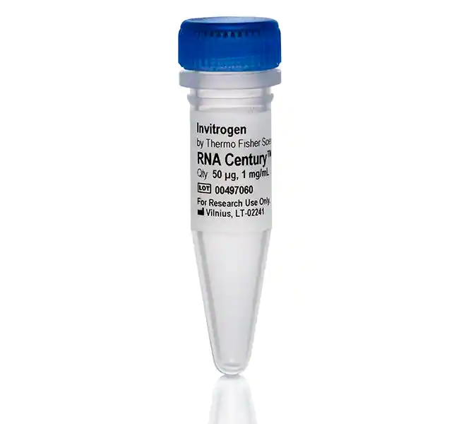 Century-Plus RNA 标记物