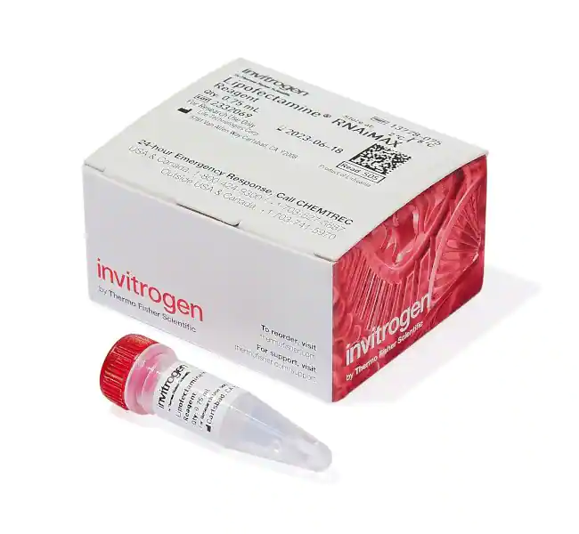 Lipofectamine RNAiMAX转染试剂，0.75mL