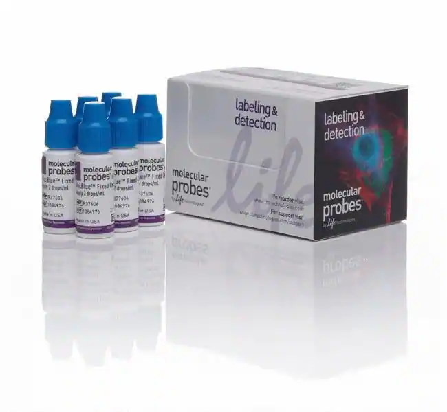 NucBlue Fixed Cell ReadyProbes 试剂 (DAPI)