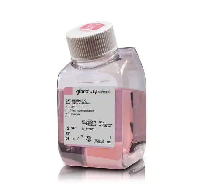 Opti-MEM I 减血清培养基(转染培养基），10*500ml