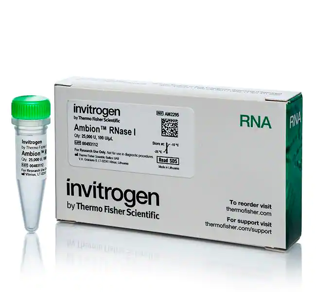 Ambion RNase I、克隆、100 U/&micro;L