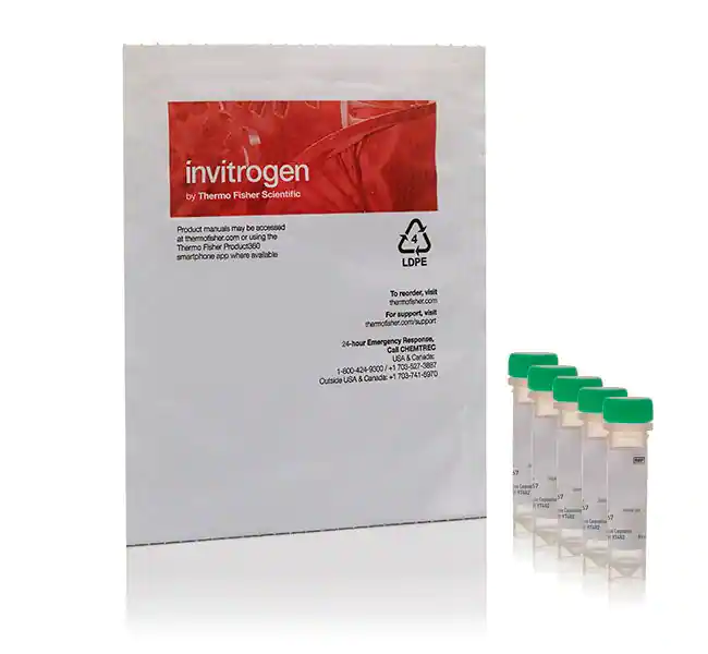 CellROX Green 试剂（用于氧化应激检测）