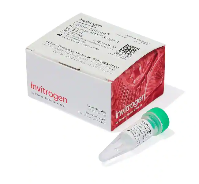 Lipofectamine MessengerMAX转染试剂，0.3mL