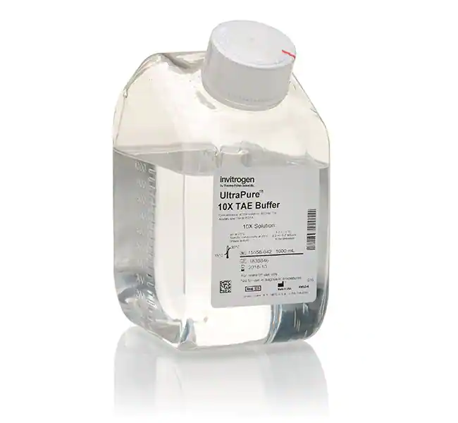 UltraPure TAE 缓冲液，10X