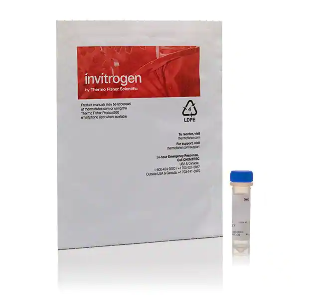 CellLight 早期内体-GFP (BacMam 2.0)