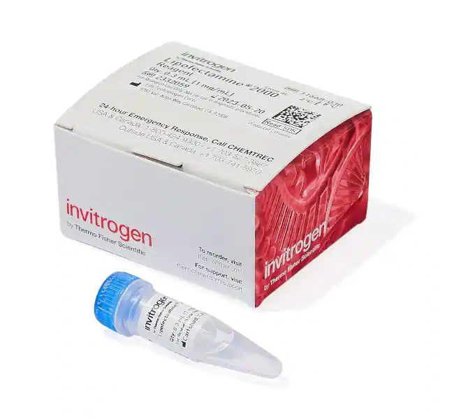 Lipofectamine 2000 转染试剂