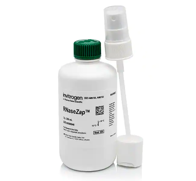 RNase<i>Zap</i> RNase 去污溶液