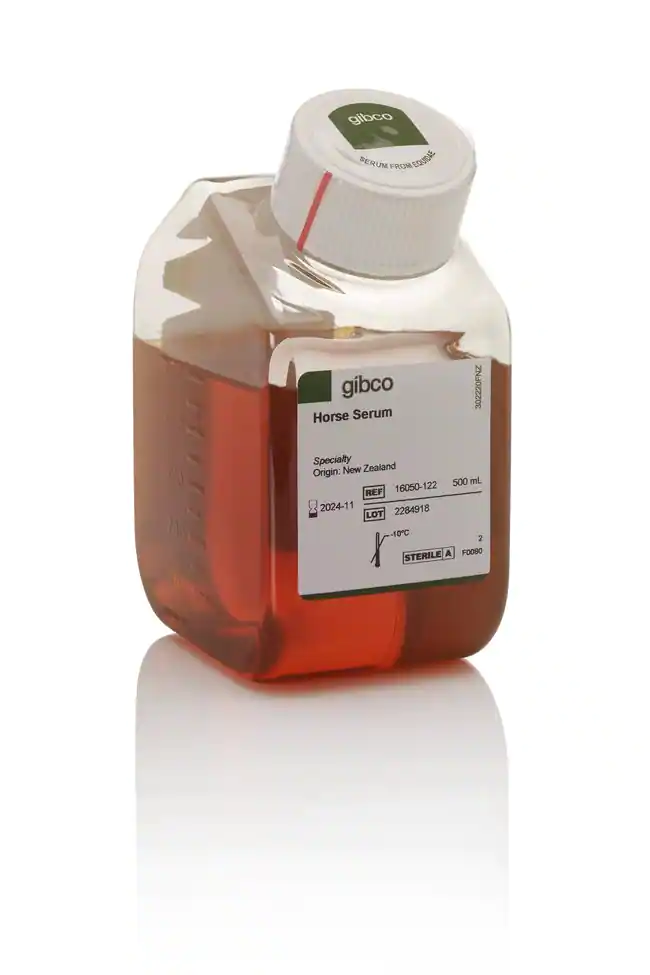马血清，新西兰来源，500ml