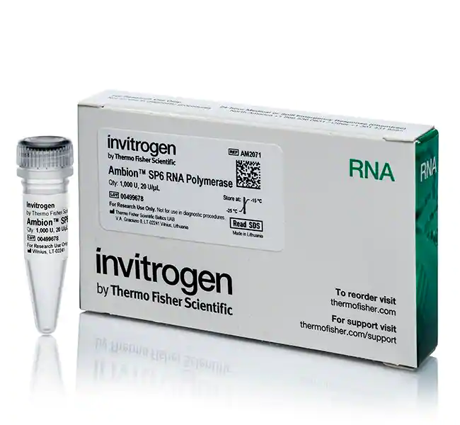 Ambion SP6 RNA 聚合酶，克隆型，20 U/&micro;L