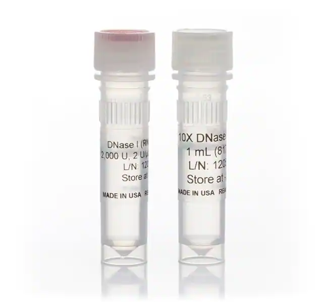 Ambion DNase I（无 RNase）