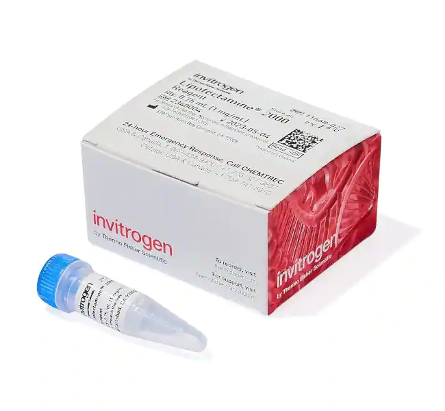 Lipofectamine 2000转染试剂，0.75mL