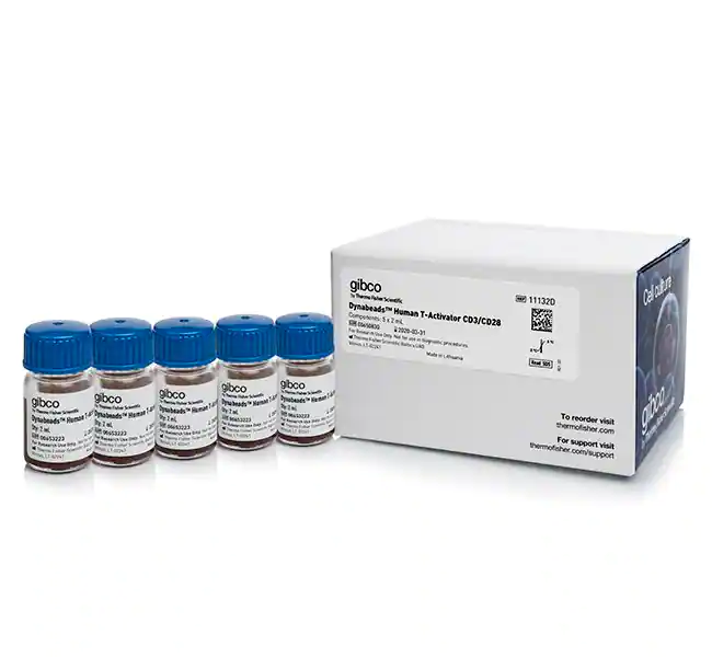 用于 T 细胞活化和扩增的 Dynabeads 人 T-Activator 活化剂 CD3/CD28，5 x 2 mL