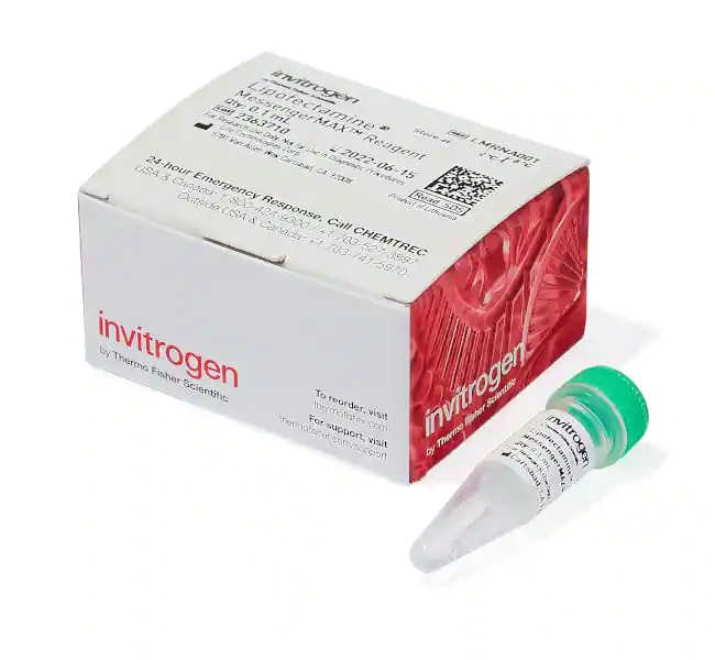 Lipofectamine MessengerMAX 转染试剂，0.1mL