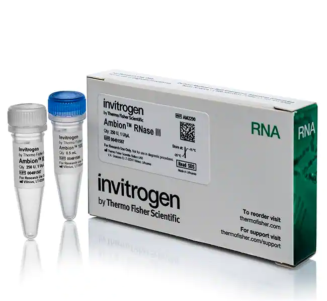 Ambion RNase III