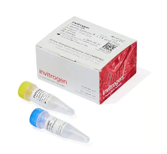 Lipofectamine LTX 试剂及 PLUS 试剂