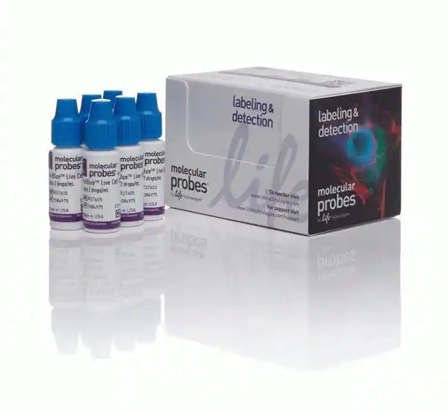 NucBlue Live ReadyProbes 试剂 (Hoechst 33342)