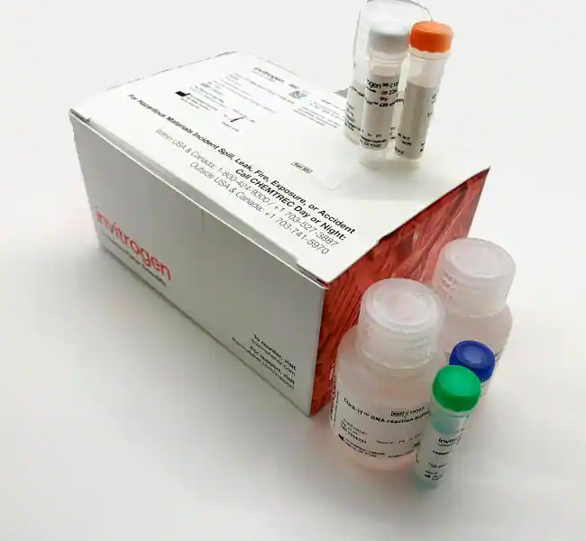 Click-iT RNA Alexa Fluor 488 成像试剂盒