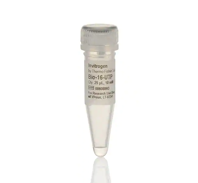 Bio-16-UTP (10 mM)